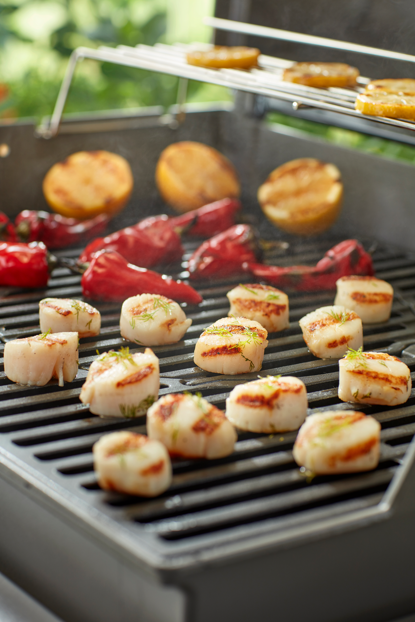 Grilliritilä Weber GBS Genesis 300-sarja 8848