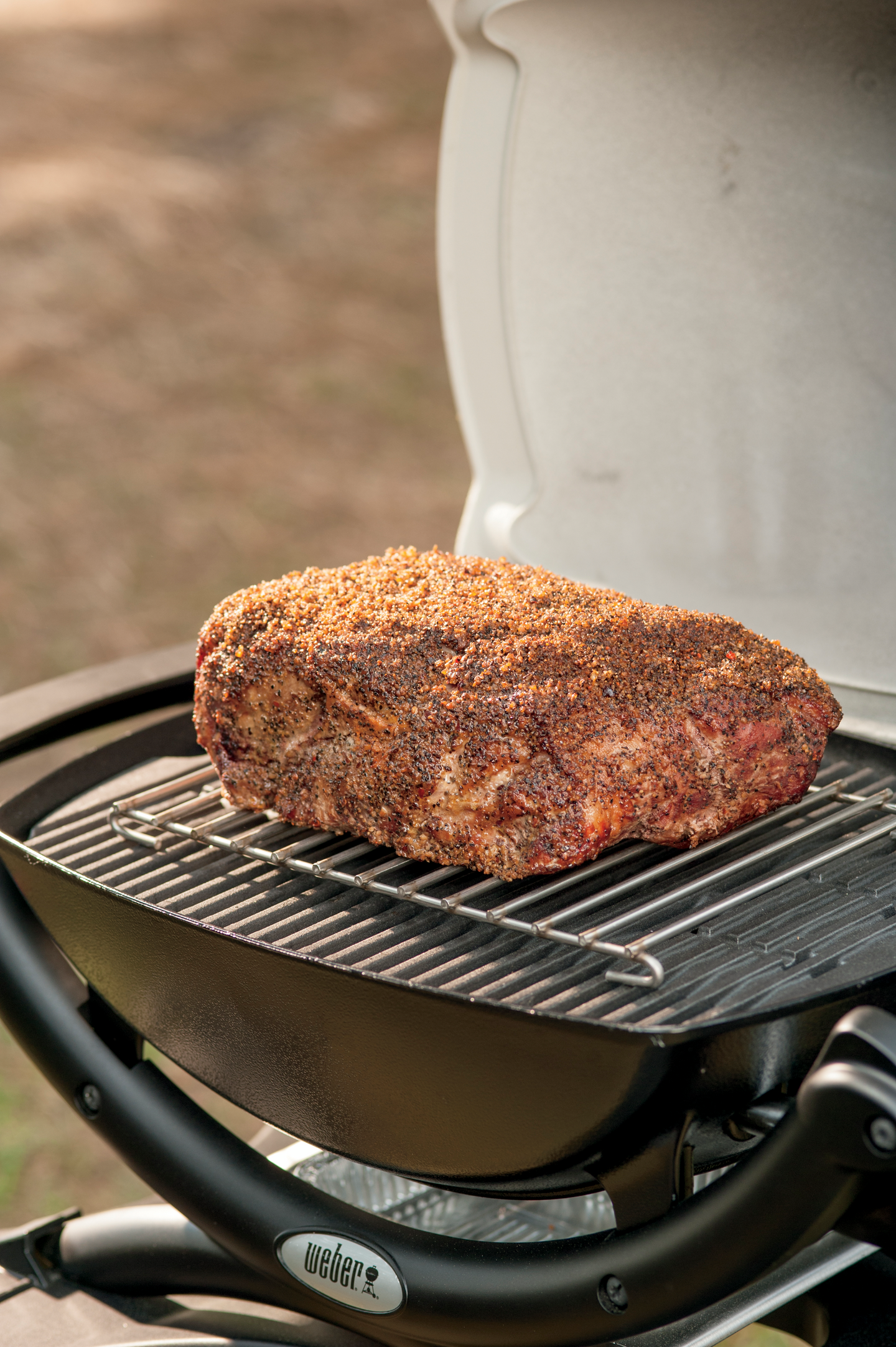 Paistoritilä Weber Q 1000/100-sarja 6563