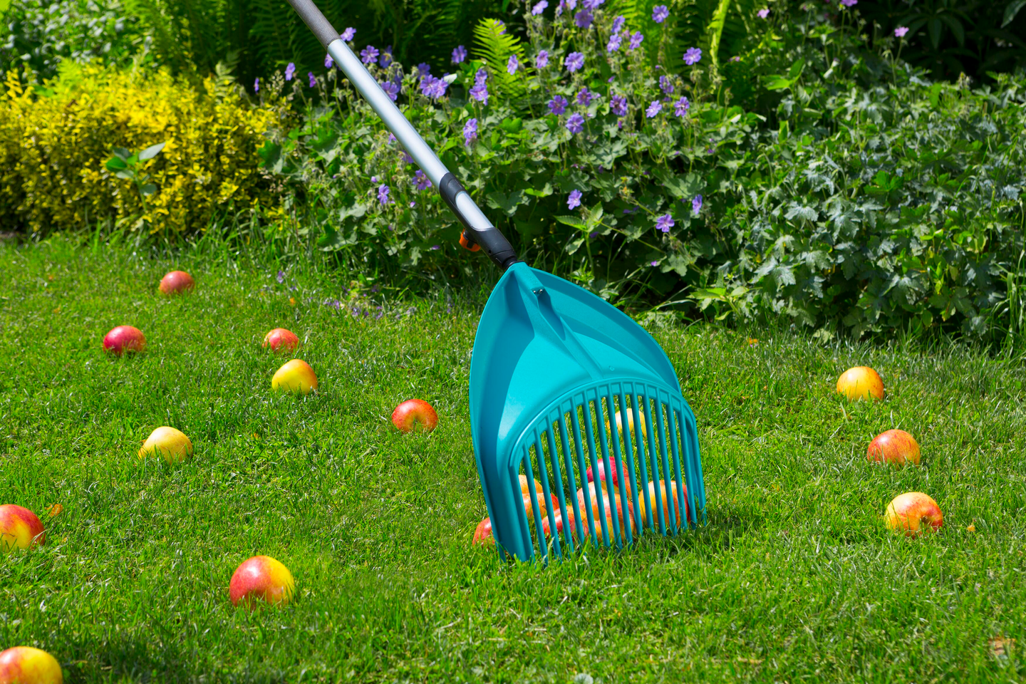 CS-Harava-Lapio Gardena 03120-20