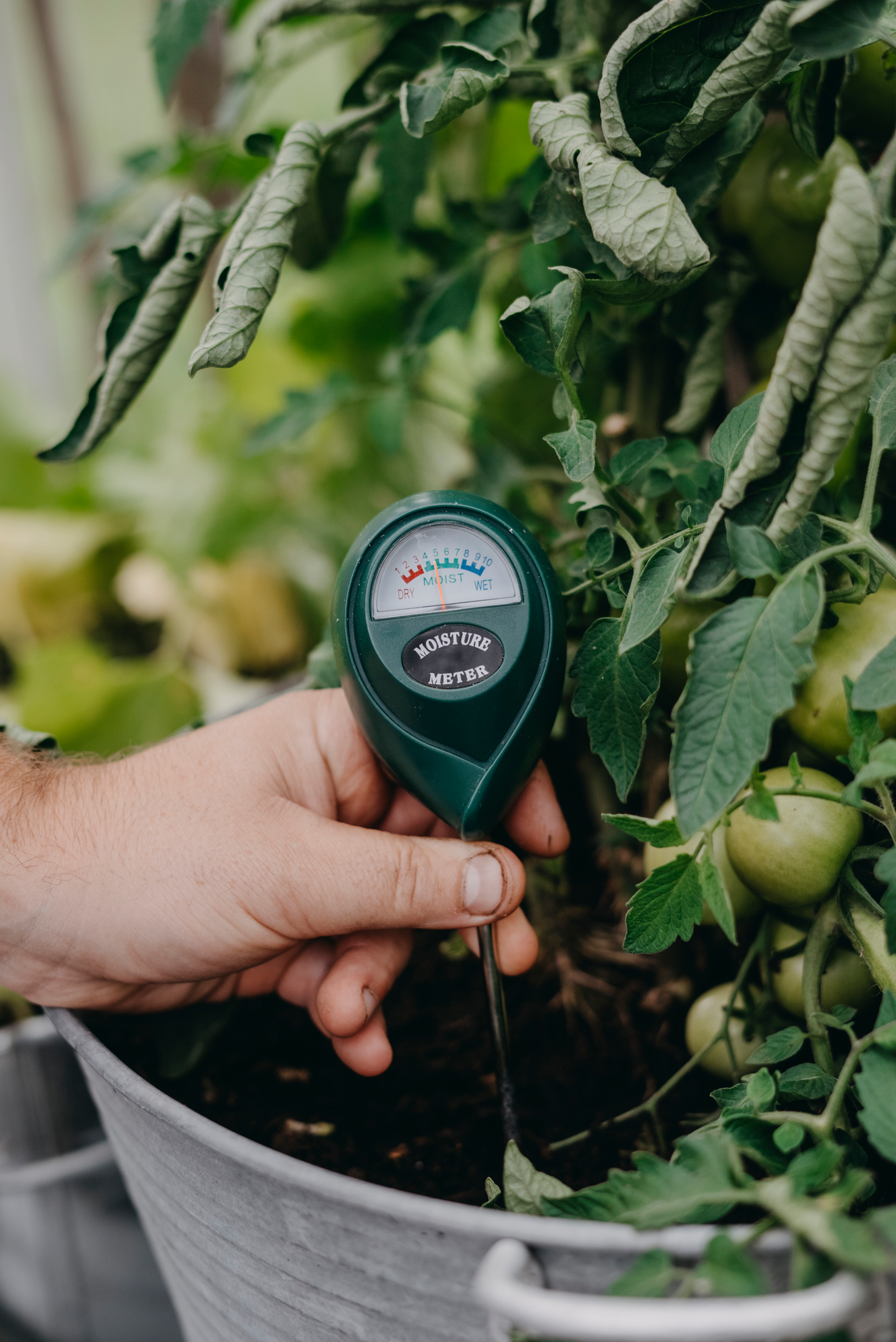 Kosteusmittari Nelson Garden