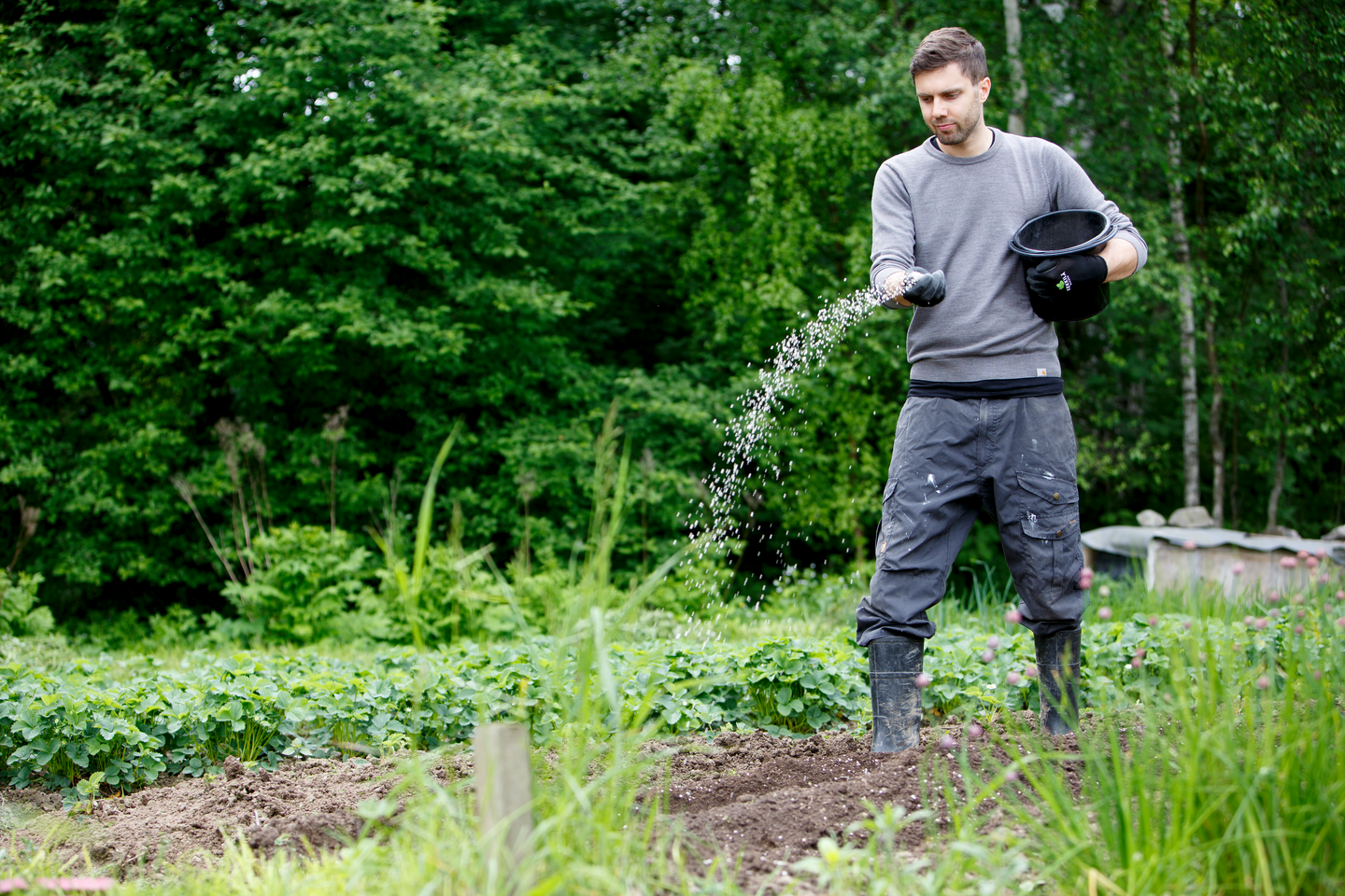 Perunalannoite Kekkilä Plus+ 10l