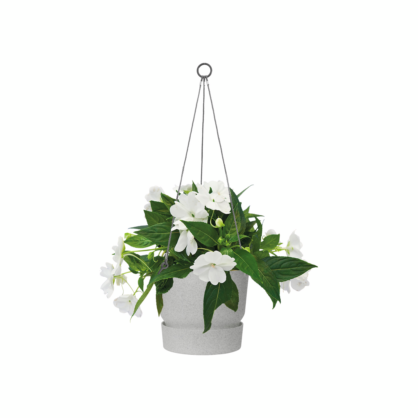 Amppeli Elho Greenville 24cm vaaleanharmaa