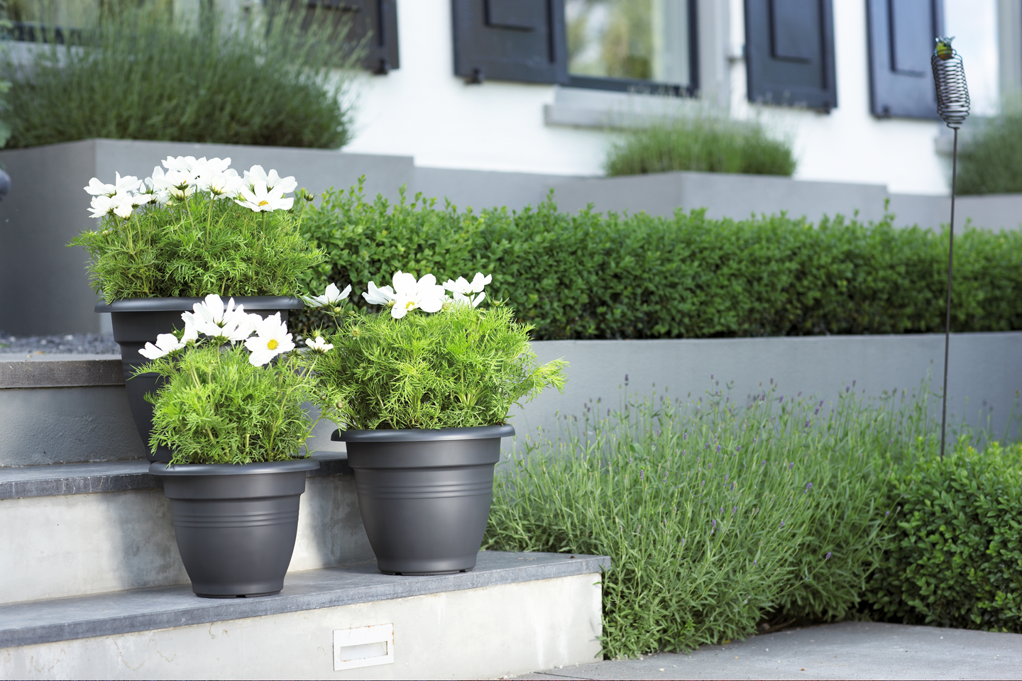 Ruukku Green Basics Campana 50cm musta