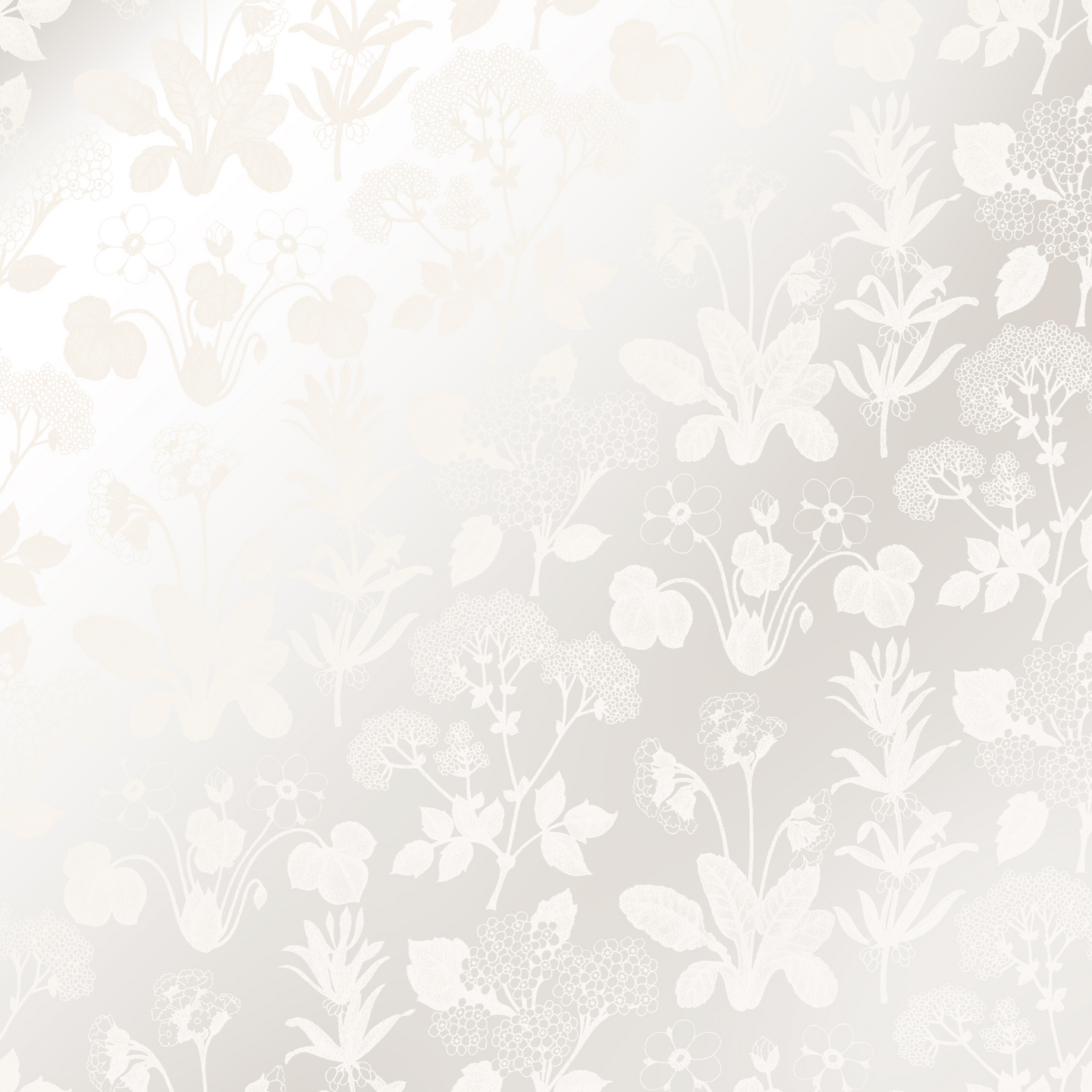 Kuitutapetti Akaasia 5427-1 10,05x0,53m rulla kuitu