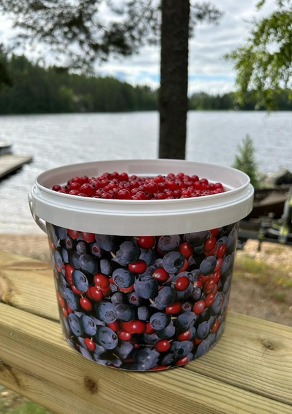 Säilöntäsanko 3l marjakuosi