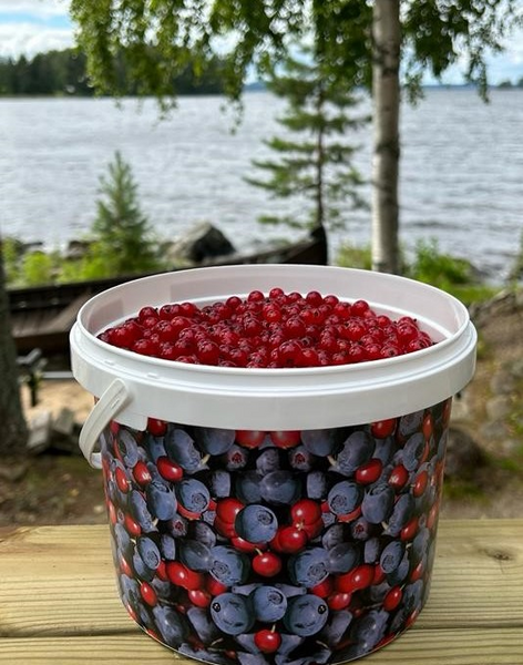 Säilöntäsanko 3l marjakuosi