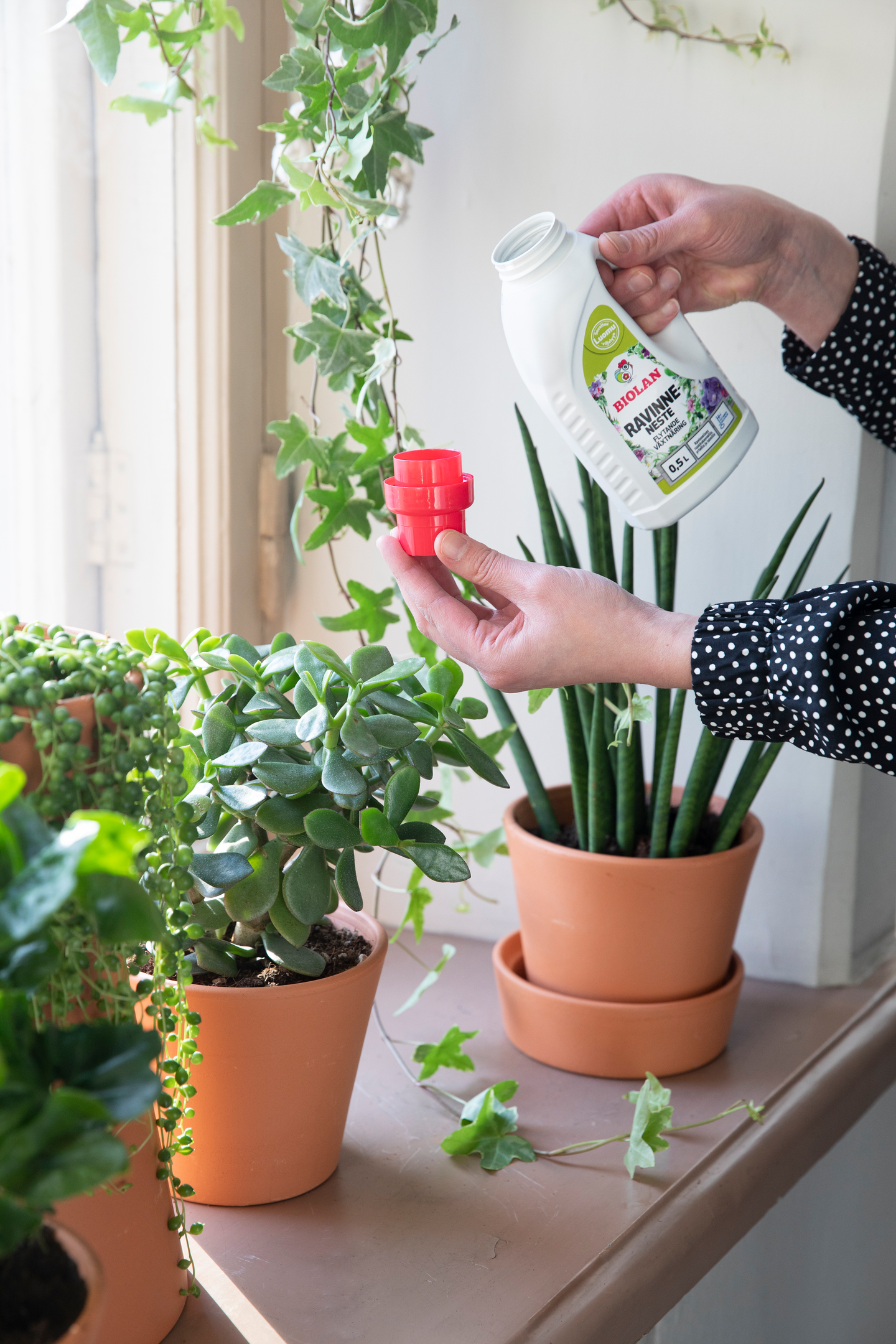 Ravinneneste Biolan 0,5l