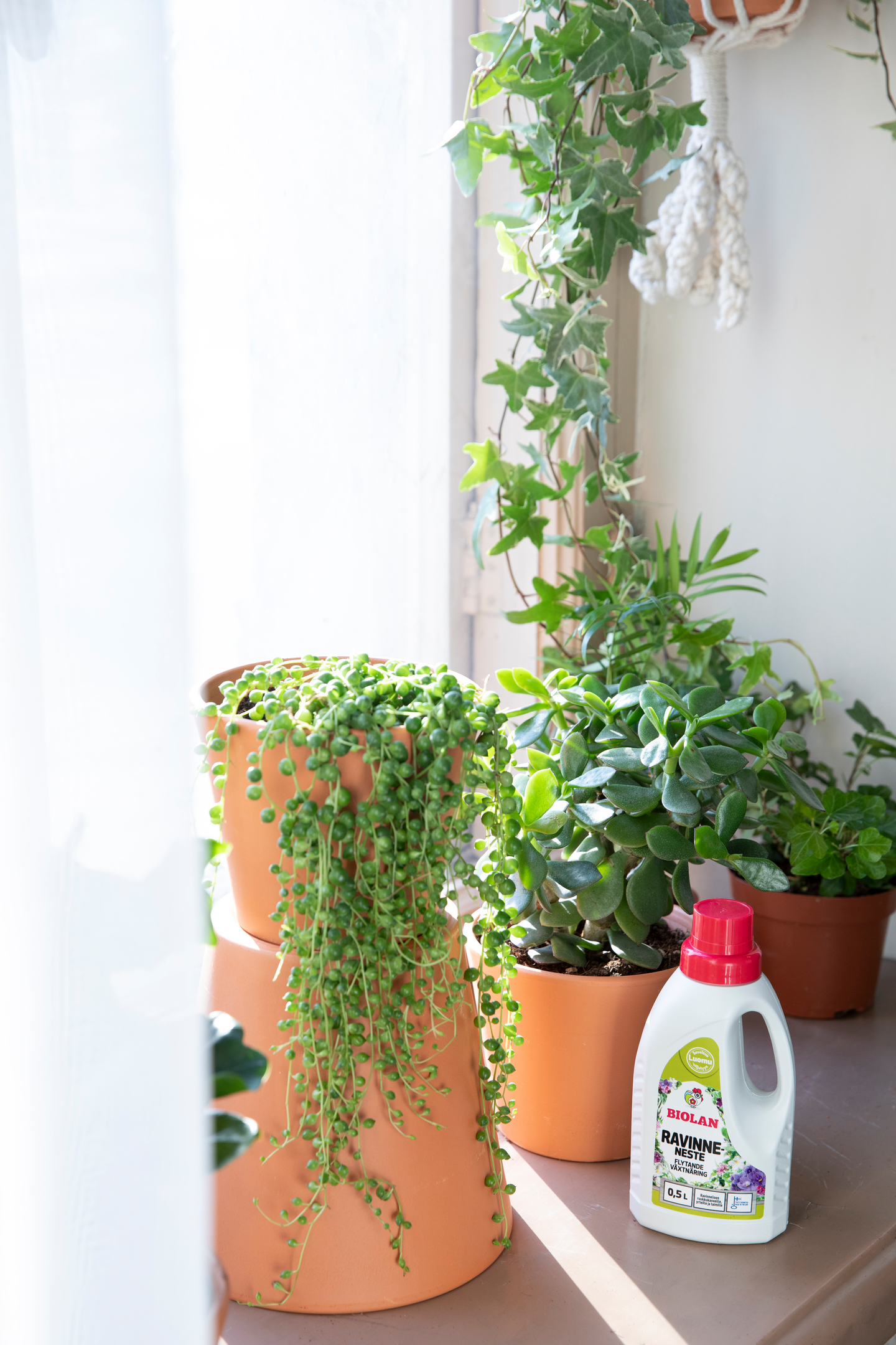 Ravinneneste Biolan 0,5l