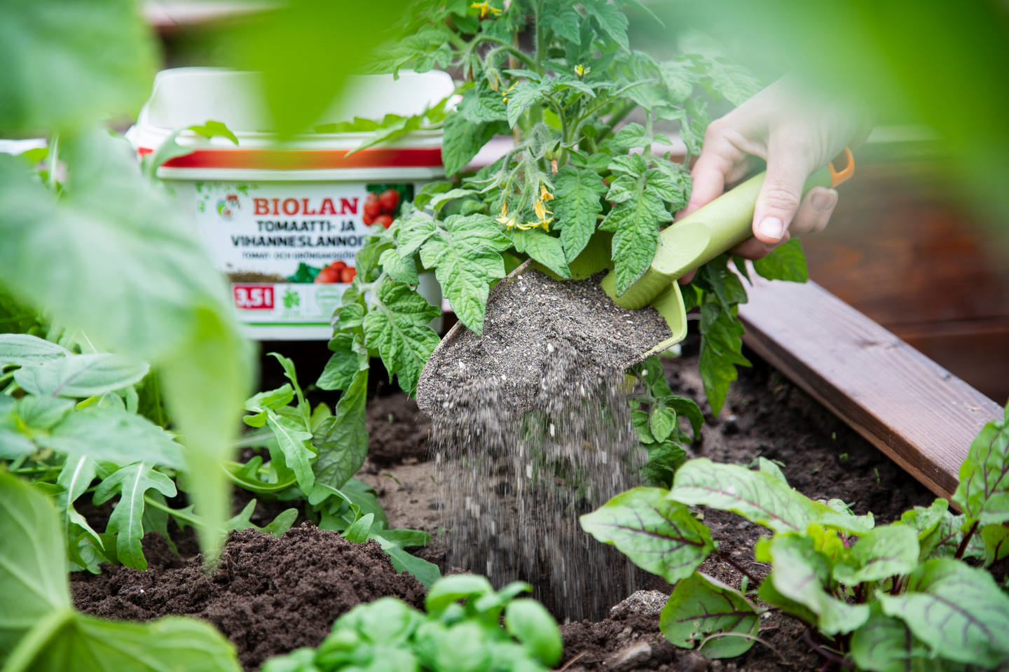 Tomaatti- ja vihanneslannoite Biolan 3,5l
