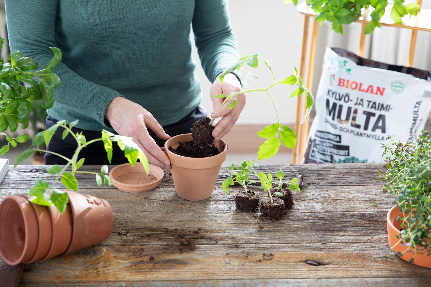 Kylvö- ja taimimulta Biolan 24l