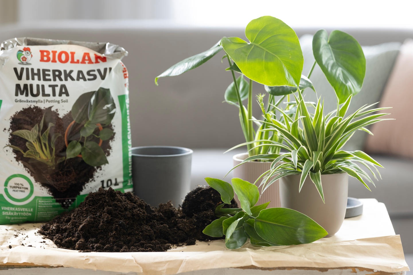 Viherkasvimulta Biolan turpeeton 10l