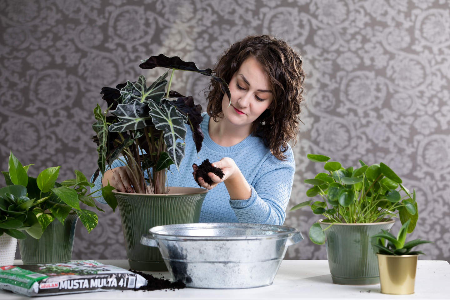 Kukkamulta musta multa Biolan 4l