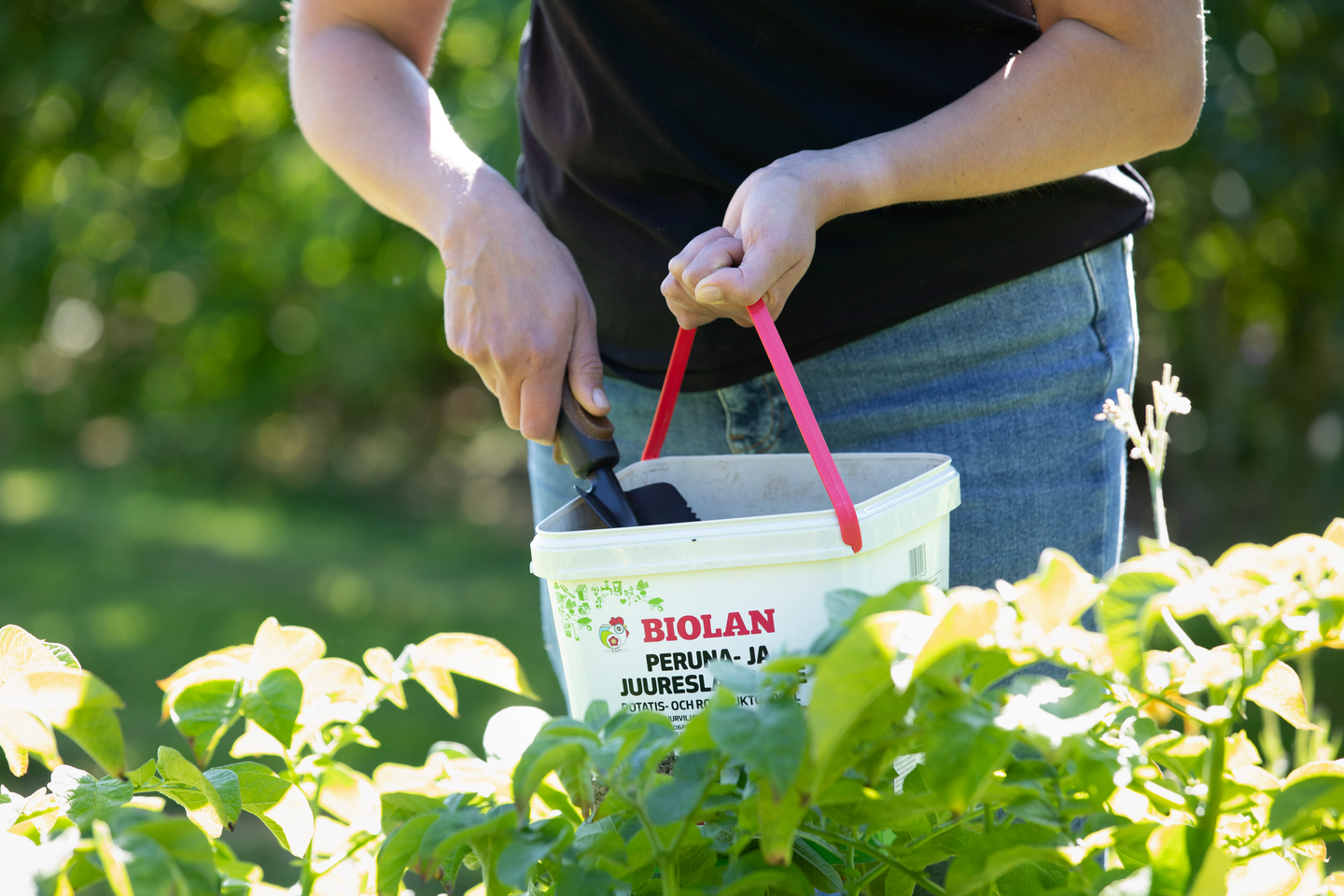 Peruna- ja juureslannoite Biolan 5,5l