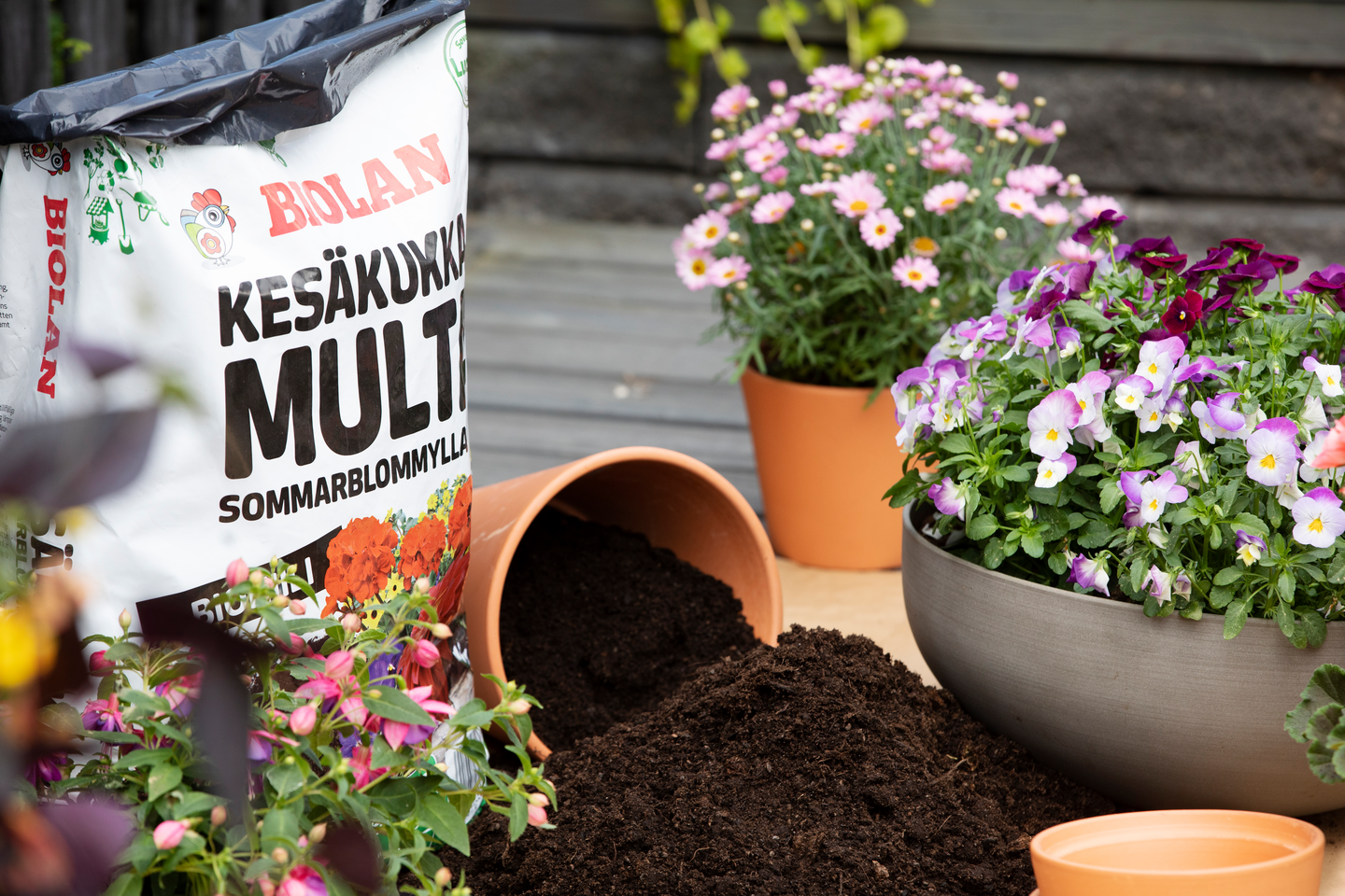 Kesäkukkamulta Biolan 45l