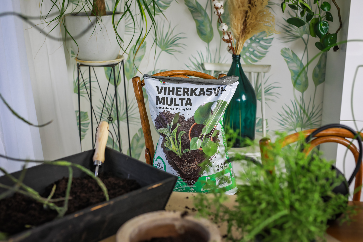 Viherkasvimulta Biolan turpeeton 24l