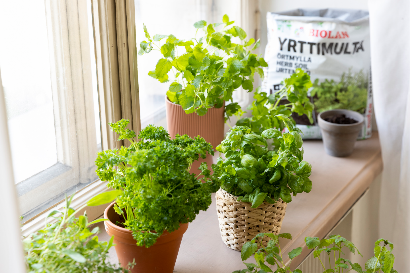 Yrttimulta Biolan 10l