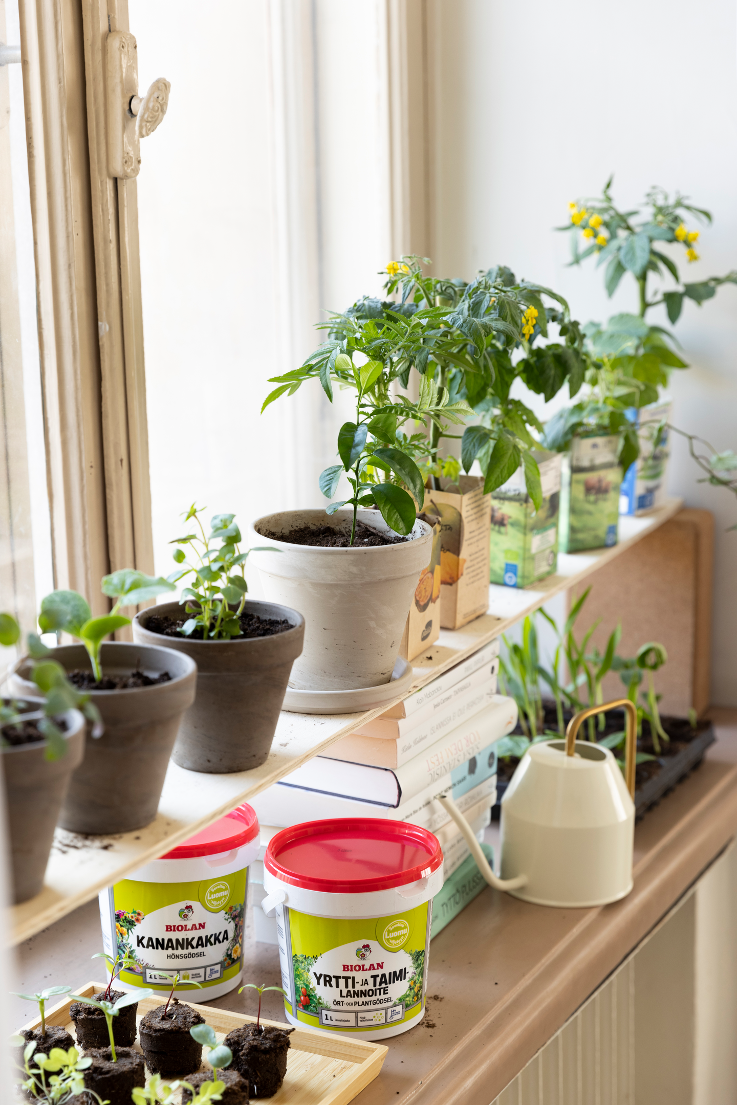 Yrtti- Ja Taimilannoite Biolan 1  l