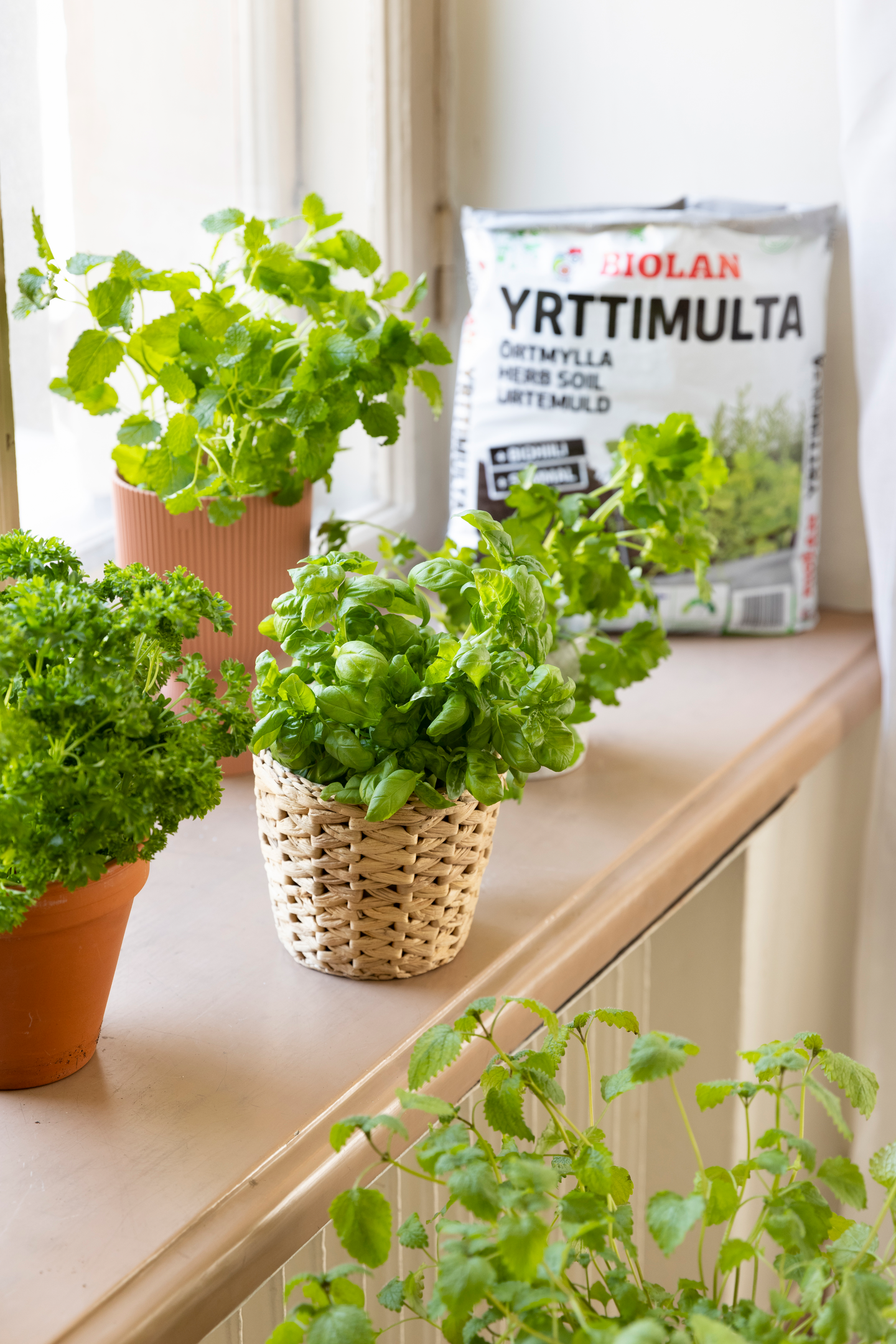 Yrttimulta Biolan 10l