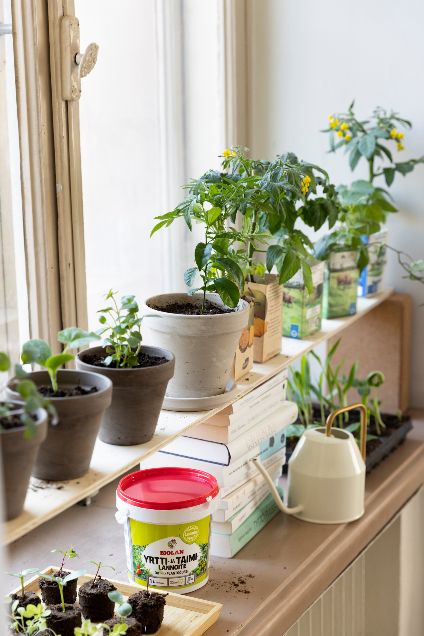 Yrtti- Ja Taimilannoite Biolan 1  l