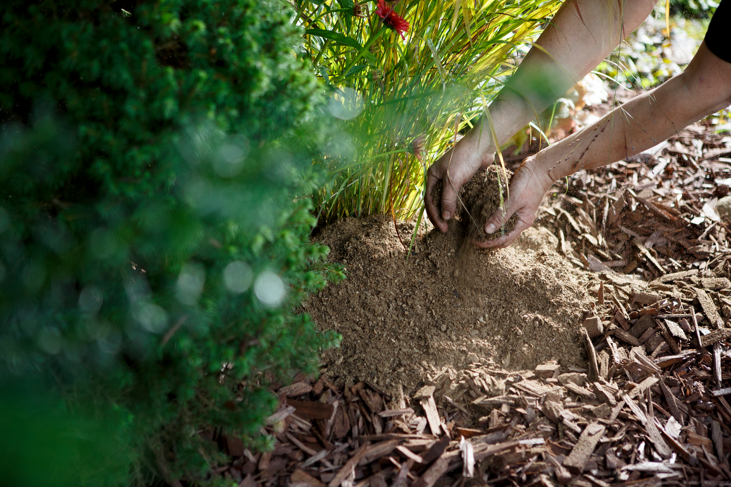 Talvisuoja Kekkilä 50l