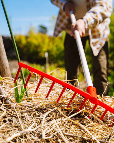 Perinteinen heinäharava
