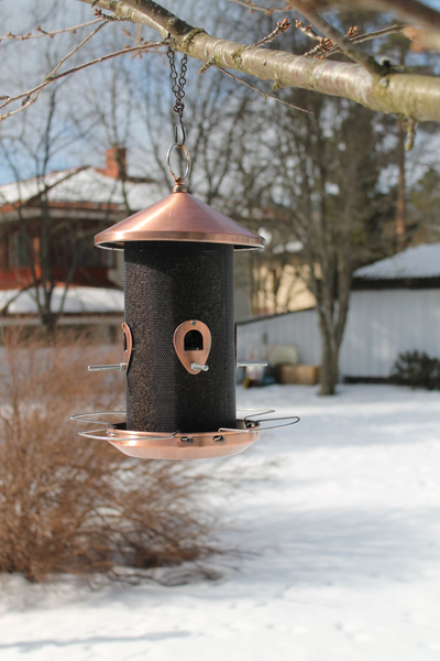 Siementensyöttölaite linnuille Delux