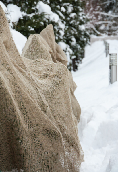 Varjostuspeite jute 1,30x100m