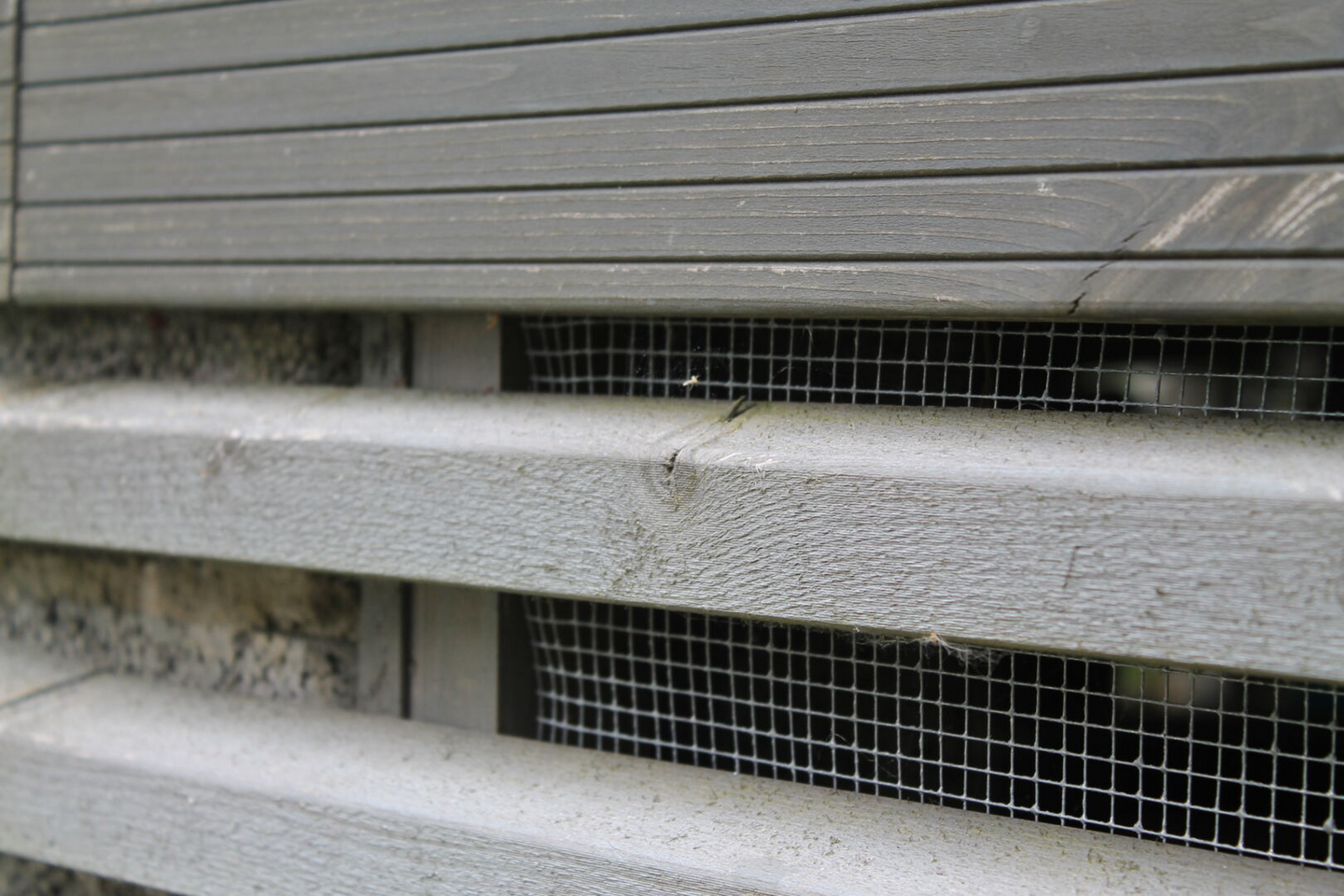 Hiiriverkko hitsattu Tarha 0,15x10m