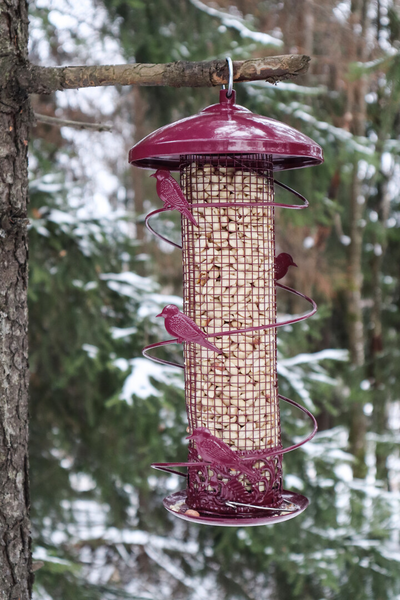 Pähkinänsyöttölaite koristelinnuilla