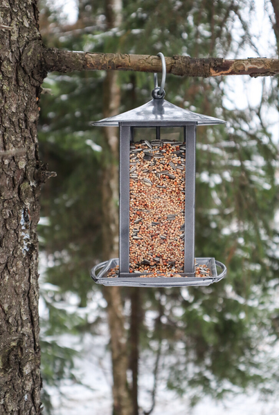 Siementensyöttölaite linnuille Jämäkkä