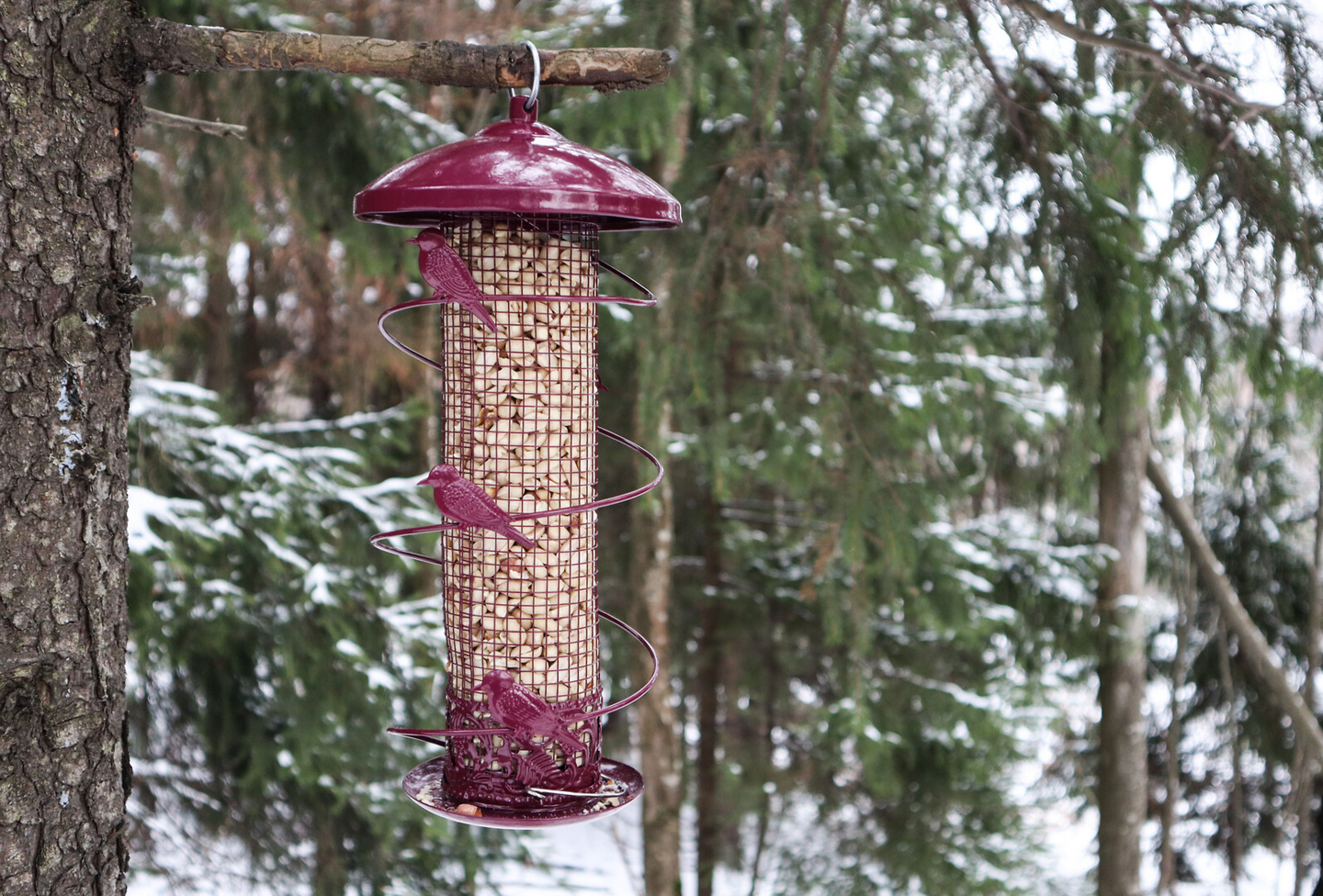Pähkinänsyöttölaite koristelinnuilla