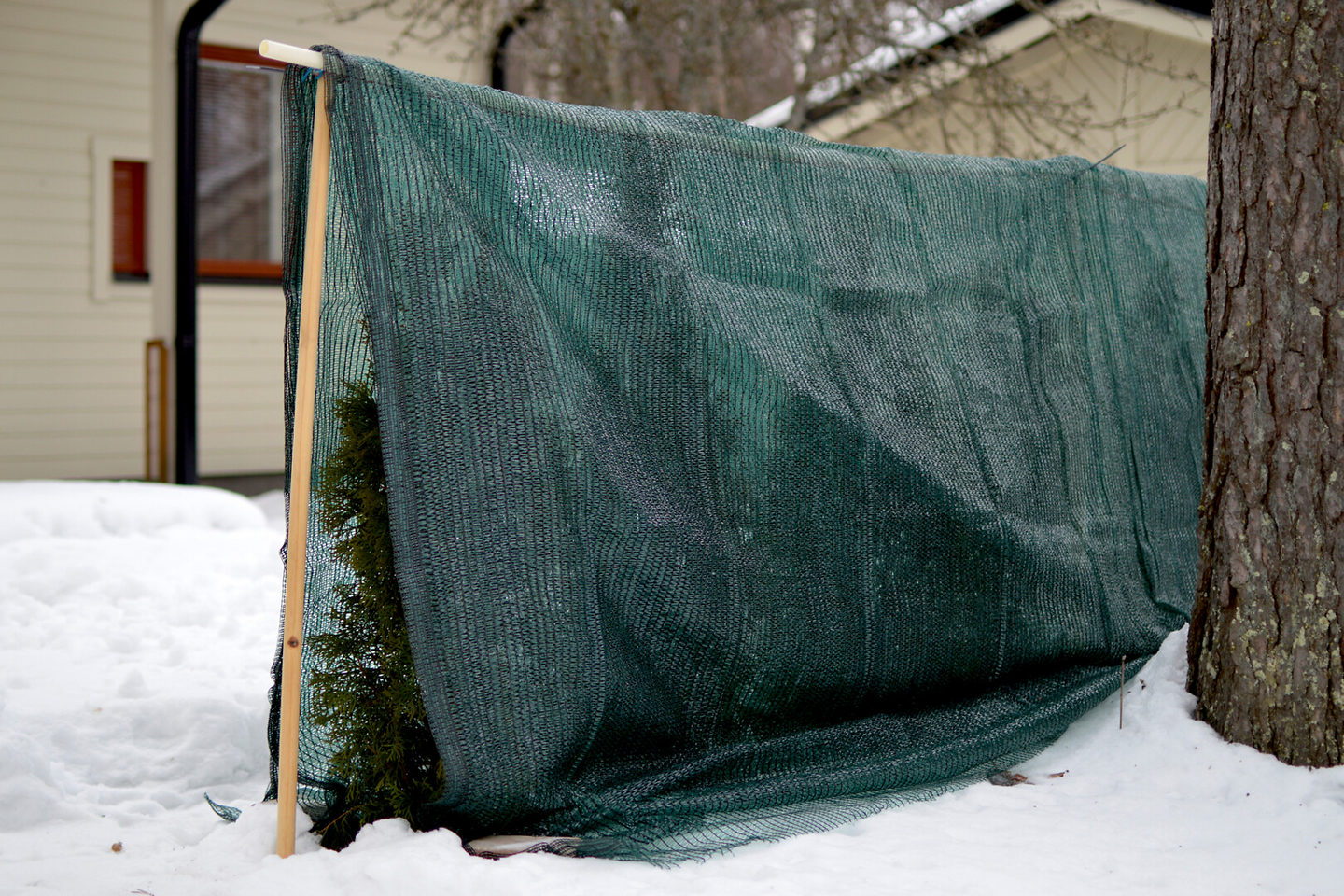 Varjostusverkko vihreä 2x50m rulla
