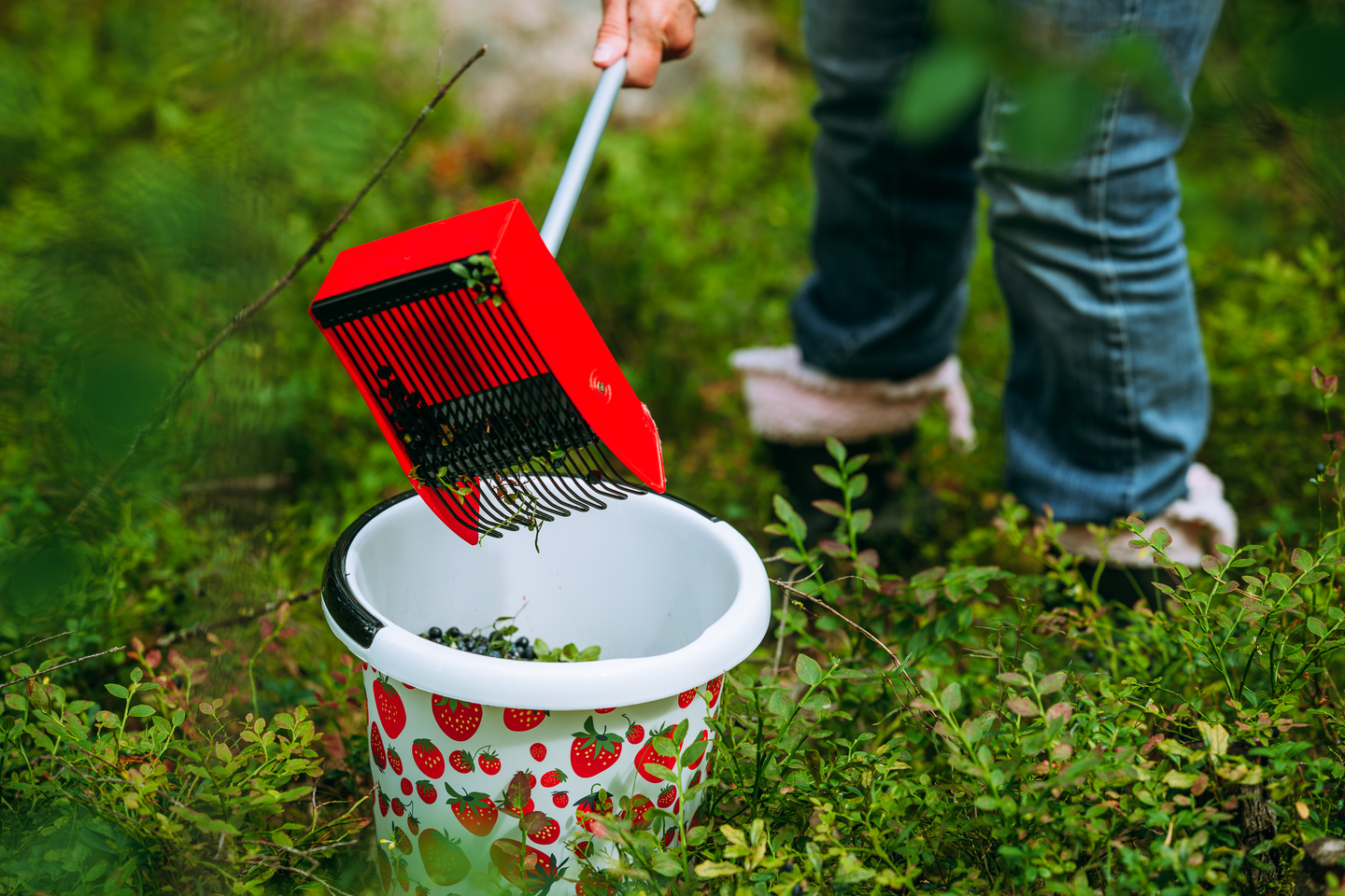 Sanko Marjukka mansikka 10 L