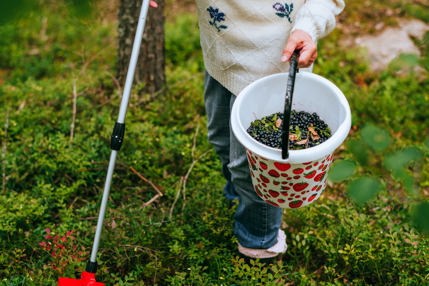 Sanko Marjukka mansikka 10 L