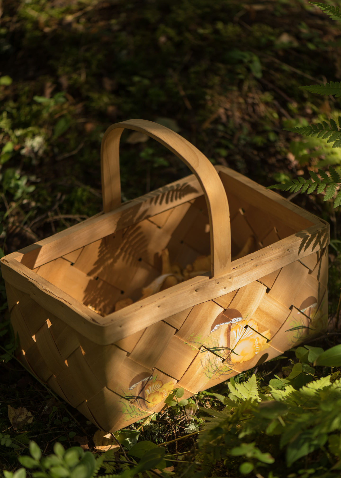 Pärekori Marjukka sieni