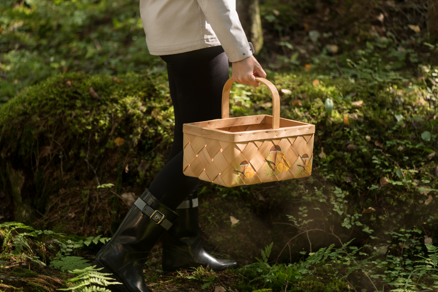 Pärekori Marjukka sieni