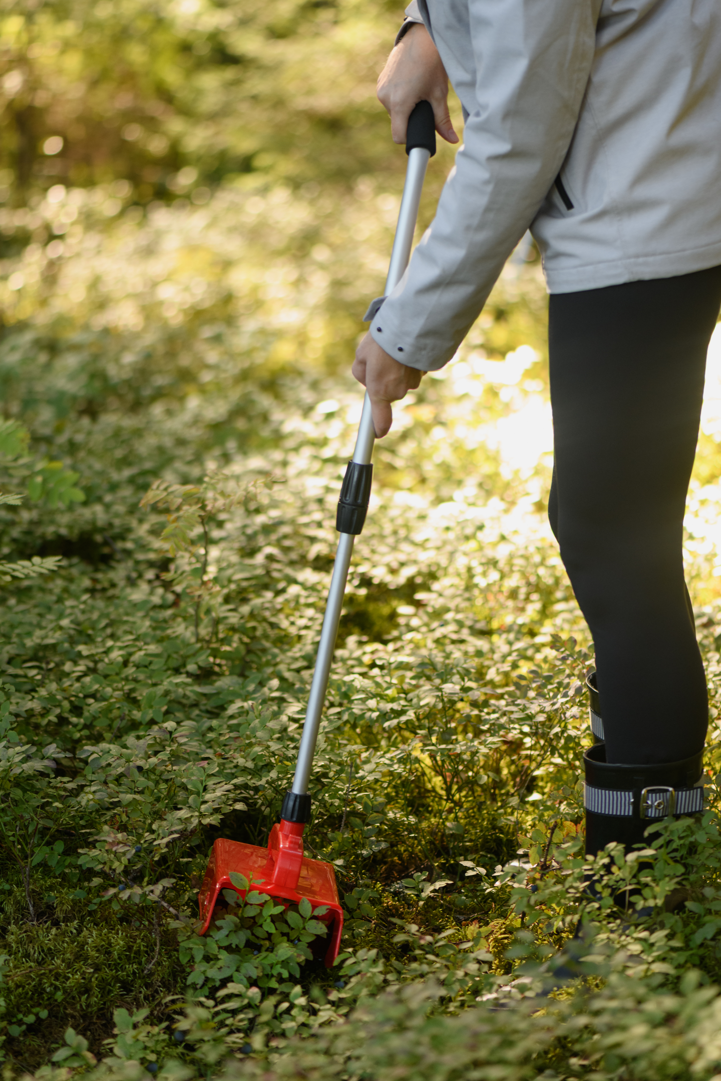 Marjanpoimuri Marjukka teleskooppivarrella