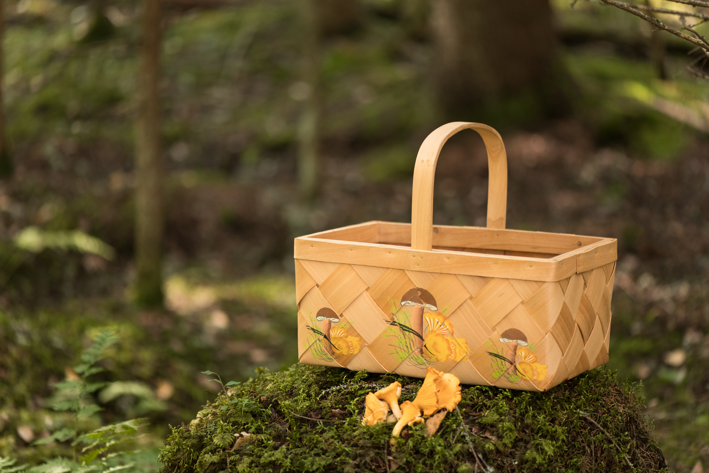 Pärekori Marjukka sieni