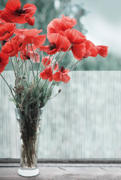 Ikkunakalvo DC-Fix 346-0536 0,45x2m läpikuultava