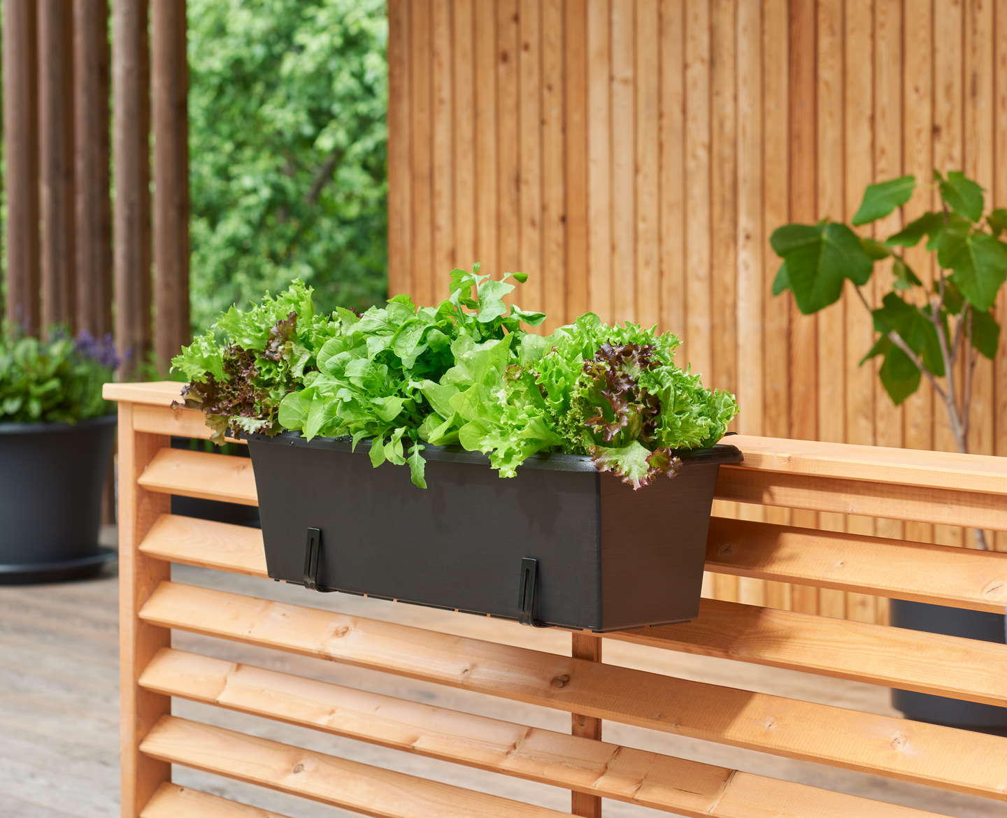 Parvekelaatikko Orthex 60cm musta