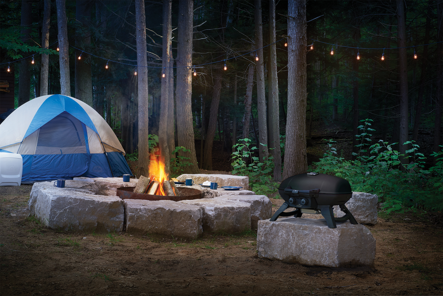 Kaasugrilli Napoleon TravelQ TQ285