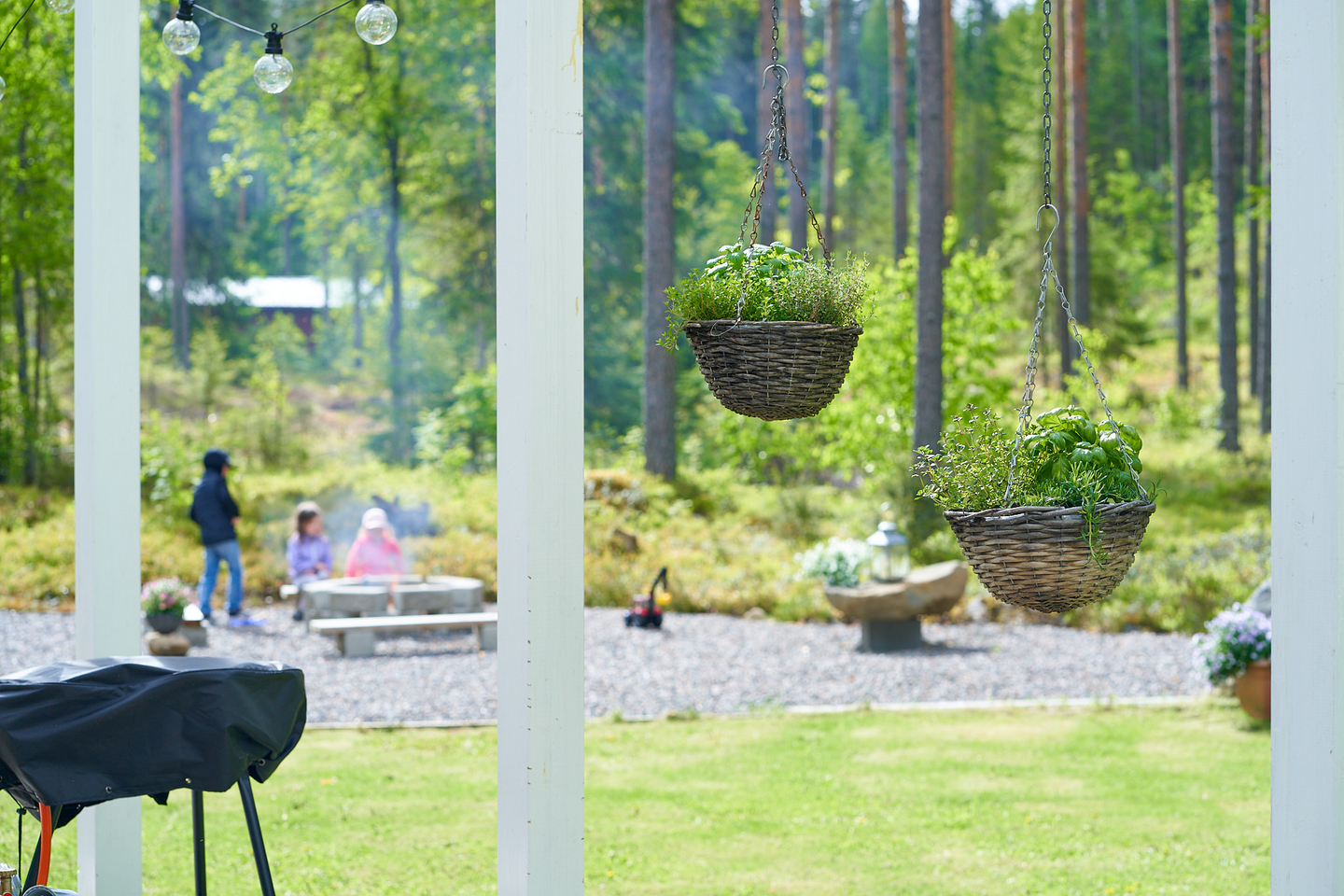 Yrttilajitelma 12cm ruukku