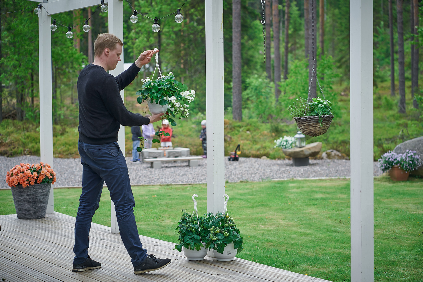 Mansikka-amppeli 23cm