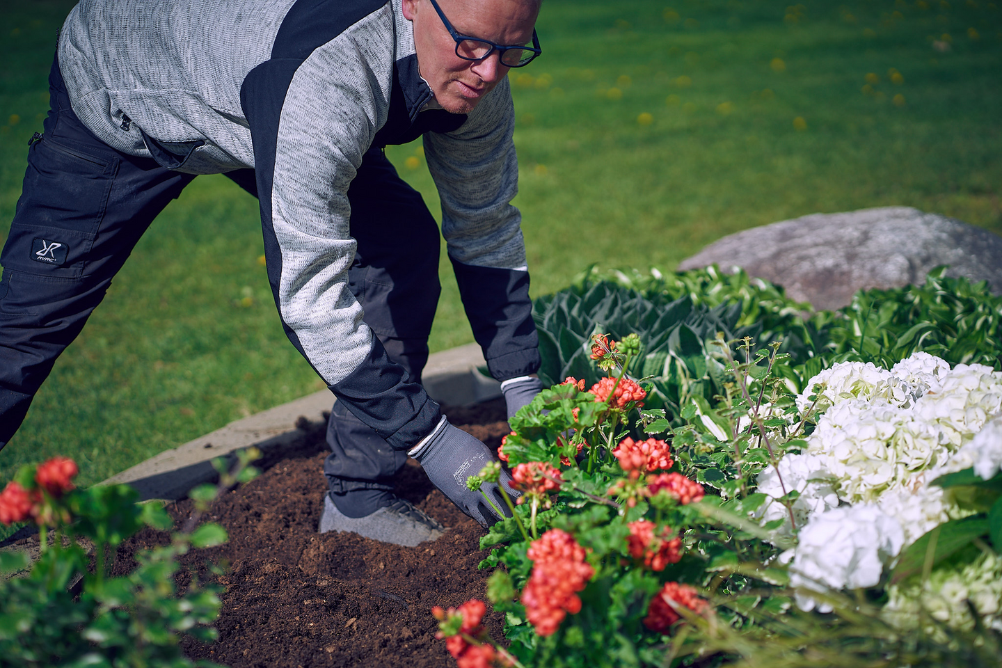 Vanhanajan pelargoni mix 13cm ruukku