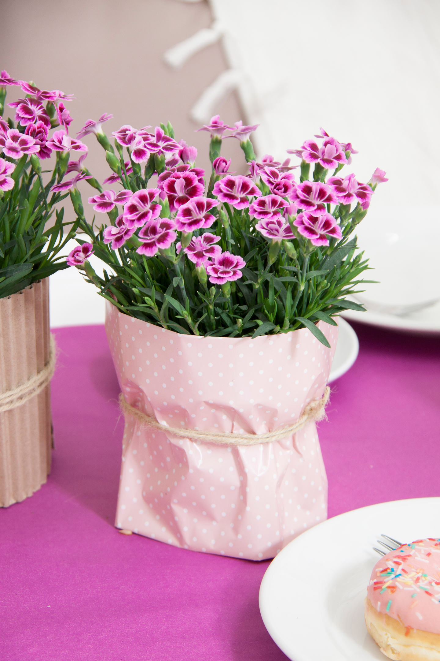 Neilikka Pink Kisses 12cm ruukku