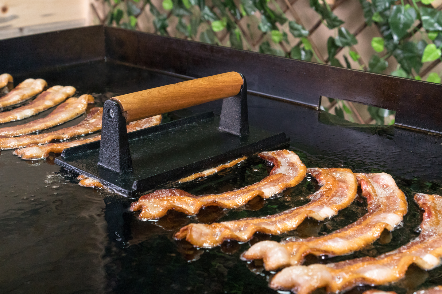 Aamupalapakkaus pro Blackstone