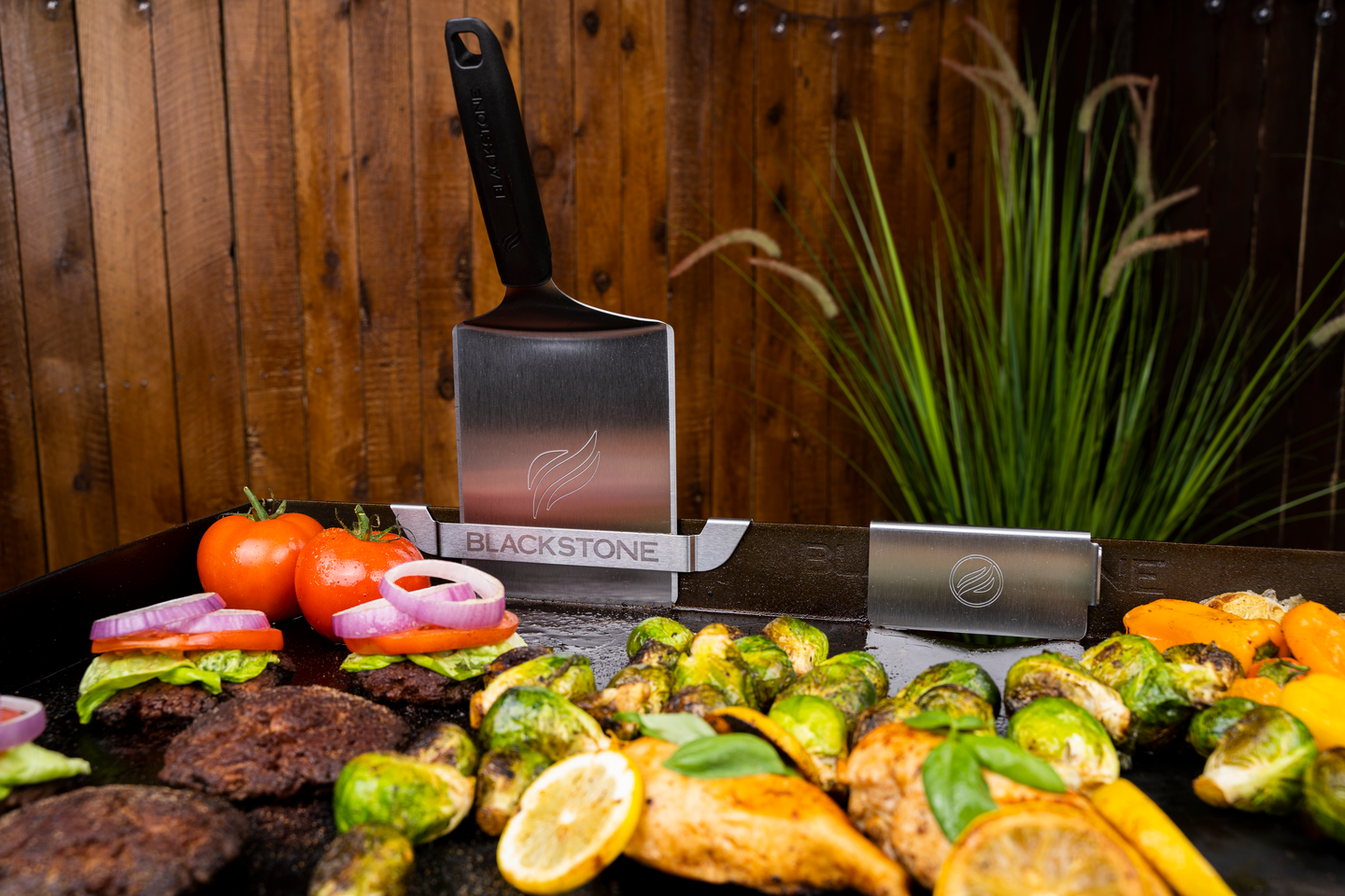 Rasvaportin suoja- ja tarvike Blackstone