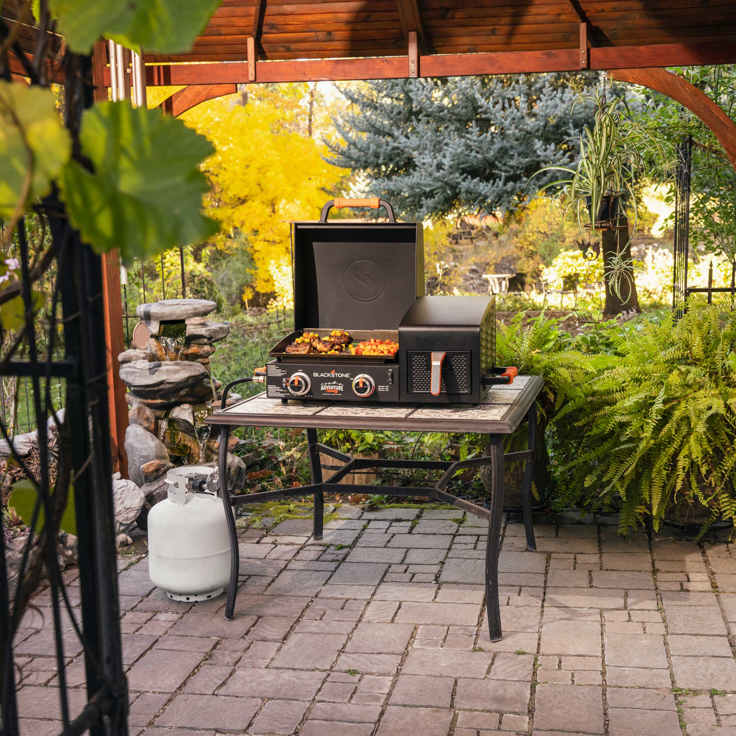 ParilaGrilli 17'' Blackstone airfryerilla 12v