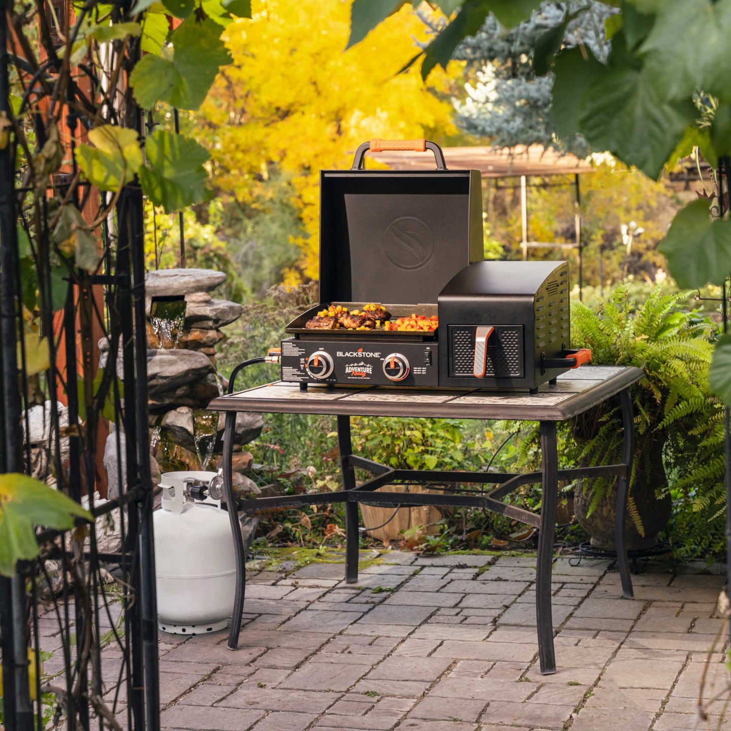 ParilaGrilli 17'' Blackstone airfryerilla 12v