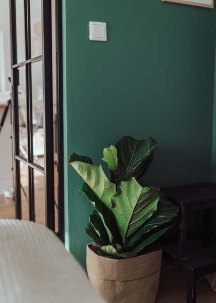 Biora 7 Seinämaali 2,7l PM1 valkoinen sävytettävissä